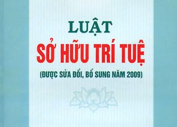 Luat sua doi, bo sung mot so dieu Luat SHTT