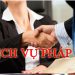 Luật sư cung cấp dịch vụ pháp lý