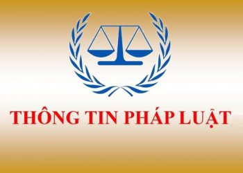 Chính sách nổi bật có hiệu lực từ tháng 8/2020