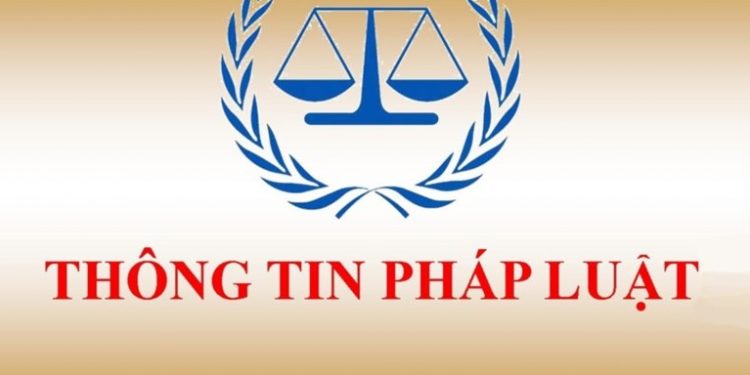 Chính sách nổi bật có hiệu lực từ tháng 8/2020