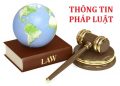 Chính sách thuế, doanh nghiệp có hiệu lực từ đầu tháng 07/2021