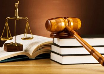 Thứ bậc hiệu lực pháp lý và nguyên tắc áp dụng văn bản quy phạm pháp luật