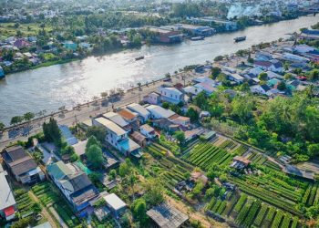 Luật sư tại tỉnh Đồng Tháp