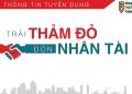 Thông tin tuyển dụng nhân sự ngành luật - Việc làm ngành luật