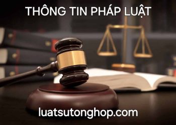 Thông tin pháp luật