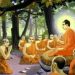 an chay và ăn mặn trong tu hành Phật giáo