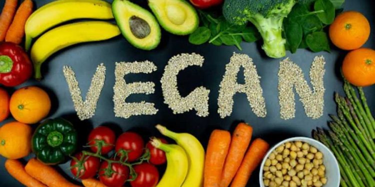 Cẩm nang thuần chay cùng Vive