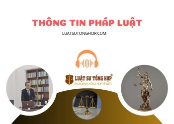 Luật Sư Tổng Hợp