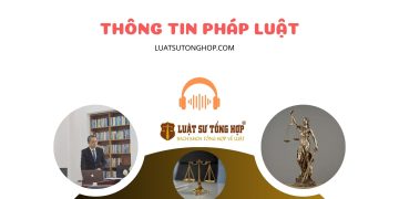 Luật Sư Tổng Hợp