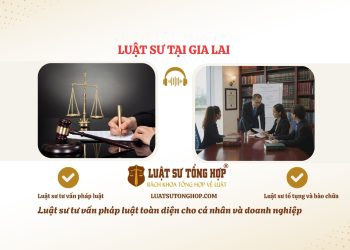 LUẬT SƯ TẠI GIA LAI