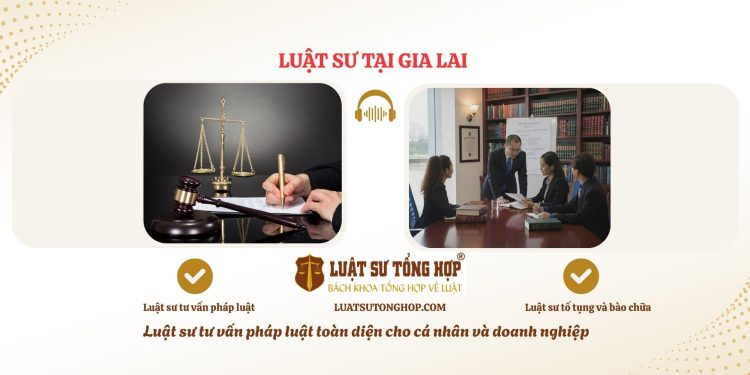 LUẬT SƯ TẠI GIA LAI