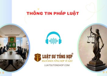 Luật sư thông tin pháp luật