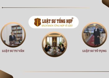 Luật sư tổng hợp, Luật sư tại Tỉnh Lào Cai