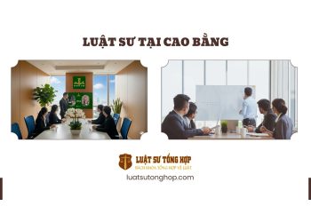 LUẬT SƯ TẠI CAO BẰNG