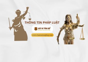 Luật Sư Tổng Hợp tại Hà Tĩnh