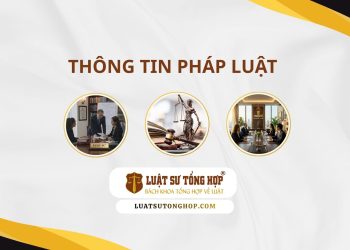 Luật Sư Tổng Hợp tại Quảng Trị