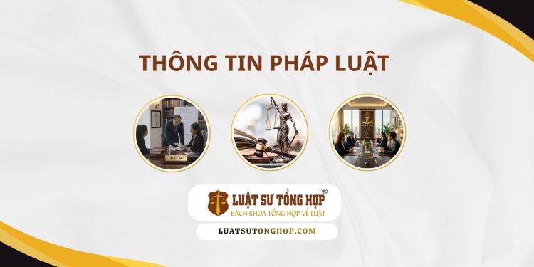 Luật Sư Tổng Hợp tại Quảng Trị