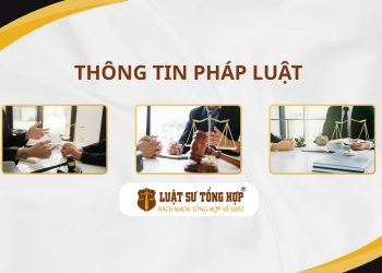 Luật Sư Tổng Hợp tại Huế, Luật sư tại Thành phố Huế