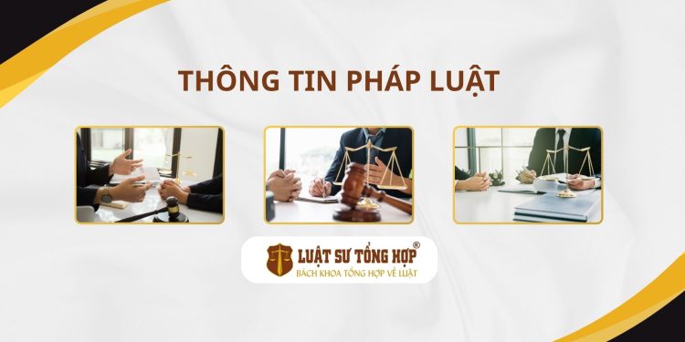 Luật Sư Tổng Hợp tại Huế, Luật sư tại Thành phố Huế