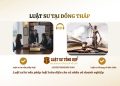 Luật sư tại Đồng Tháp