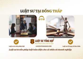 Luật sư tại Đồng Tháp