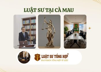 Luật sư tại Cà Mau