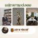 Luật sư tại Cà Mau