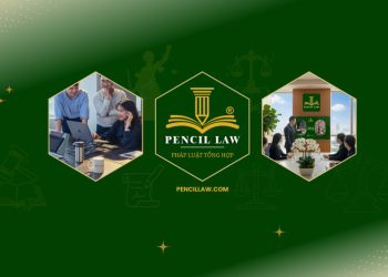 Pencil Law - Pháp Luật Tổng Hợp